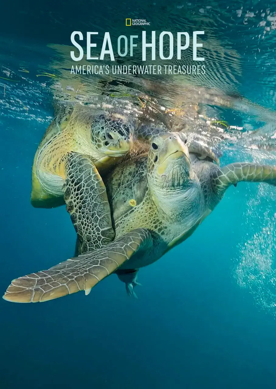 《希望之海：美国海底之宝》：沉船寻宝记，潜入海底，寻找那段被遗忘的历史！