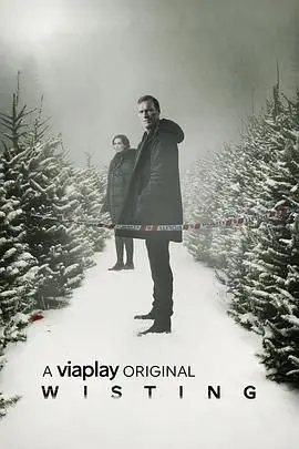 《警探维斯廷 第三季》回归！迷雾重重，真相难觅，北欧罪案剧再掀狂潮！