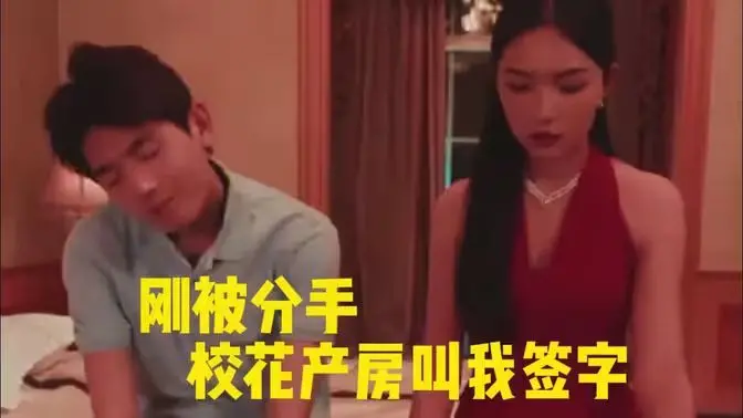 狗血神反转！《刚被分手校花产房叫我签字》：年度最抓马的爱情救赎？