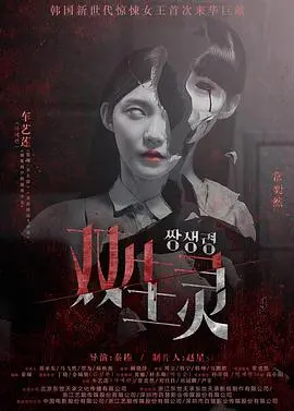 双生灵：一个关于双胞胎神秘交错命运的奇幻冒险之旅