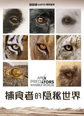 《捕食者的隐秘世界》：揭秘丛林法则，自然纪录片界的黑马！